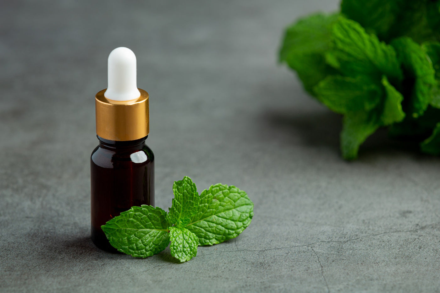 Peppermint Essential Oil