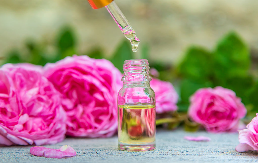 About Rose Geranium Essential Oil: Origins, Benefits, and Uses