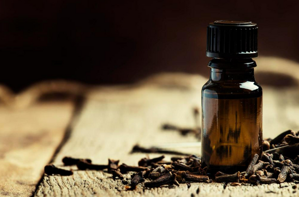Clove Bud Essential Oil: Origins, Benefits & Uses