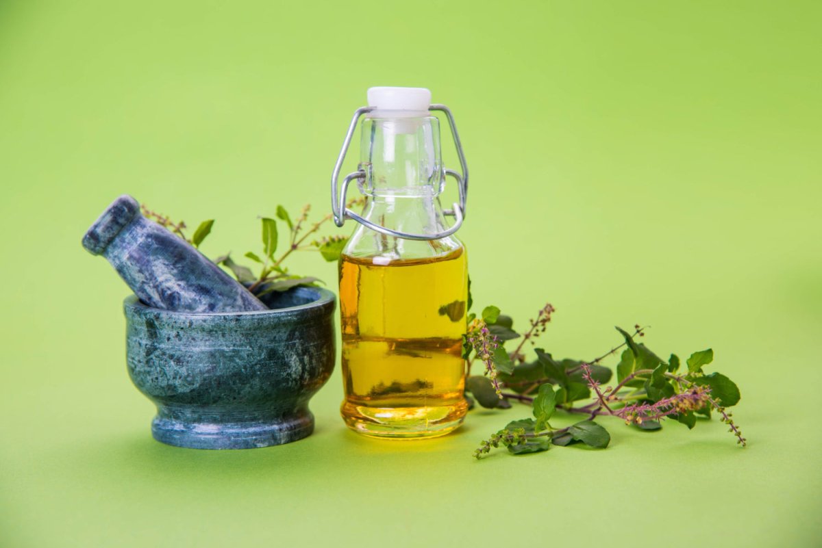 Basil Essential Oil Benefits and Uses - Cliganic