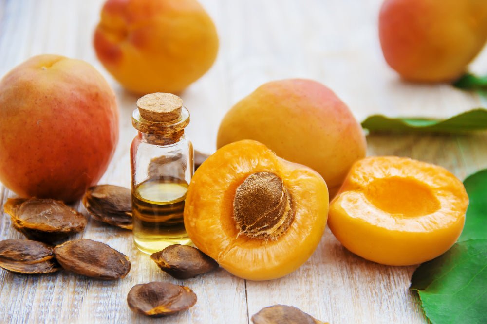 Benefits and Uses of Apricot Oil - Cliganic