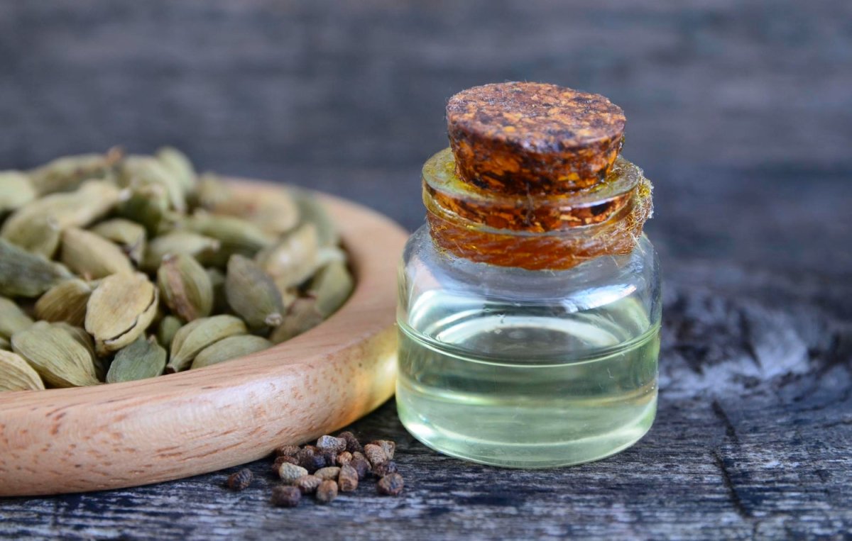 Cardamom Essential Oil Benefits & Uses - Cliganic