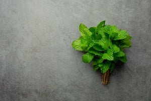 Get to Know Patchouli Essential Oil - Cliganic