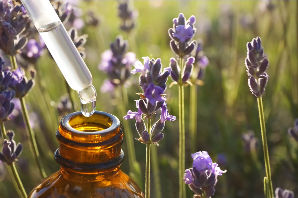 How are Essential Oils Extracted? - Cliganic