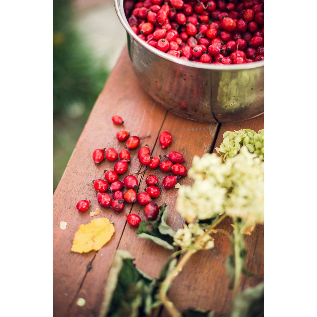 How to use Organic Rosehip Oil - Cliganic