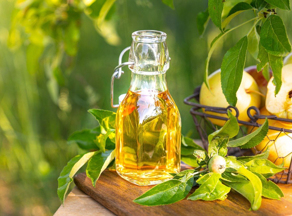 Lemon Tea Tree Essential Oil Benefits and Uses - Cliganic