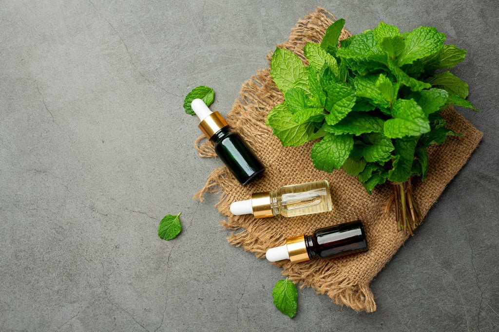 Oregano Essential Oil Benefits and Uses - Cliganic