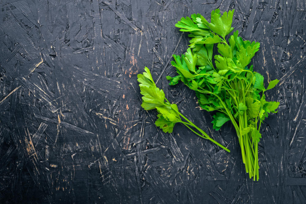 Coriander leaves