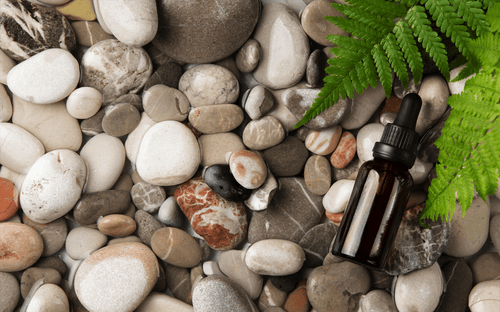 The 5 Best Essential Oils to use for Camping - Cliganic