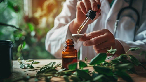 What Essential Oils Are Used in Ayurveda? - Cliganic