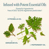 Natural geranium, peppermint, citronella,