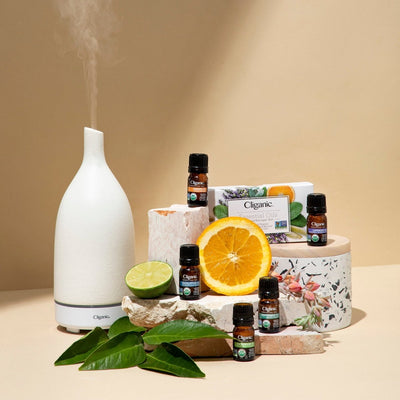 Organic Aromatherapy Set (Top 12) - Cliganic Essential Oil Sets